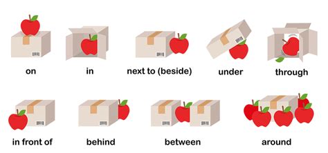 中間位置|「中間」の英語・英語例文・英語表現